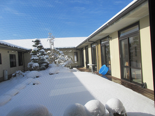 中庭の雪景色