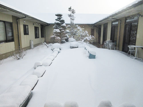 中庭の雪景色
